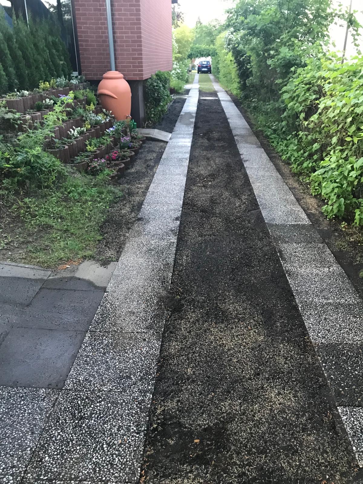 Gartenweg mit angrenzenden Beeten