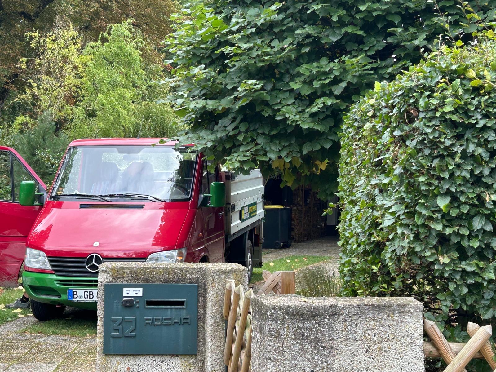 Blick auf die Hecke an der Einfahrt